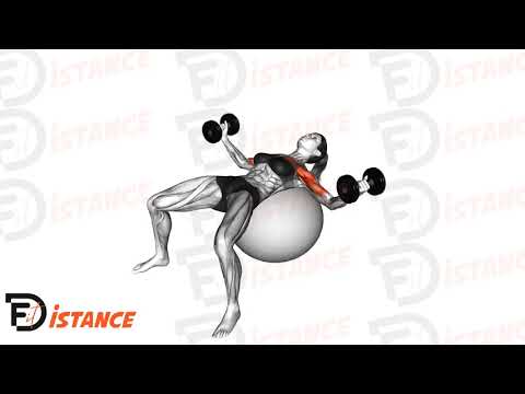 Exercice Écartés haltères avec ballon (Swiss Ball)