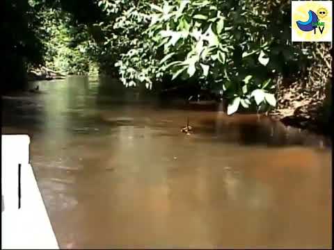 Quem procurar está casa, Mestre Irineu