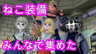 ドラクエ10実況『ツイッターで仲間を募集してみた。ねこ装備を集めて、メタル系モンスター対策』ドラクエⅩ配信