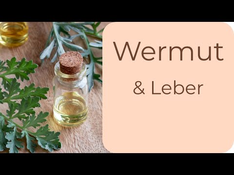 Wermut & Bitterstoffe: Wirkung auf Leber und Verdauung