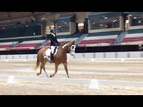 Dommer @2019 PVDA, First level test 3