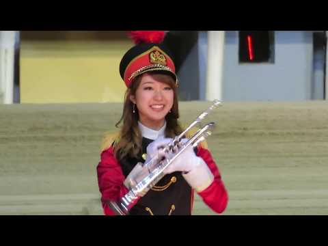 東京トゥインクルファンファーレ　大井11R　イヤーエンド賞　2017.12.29