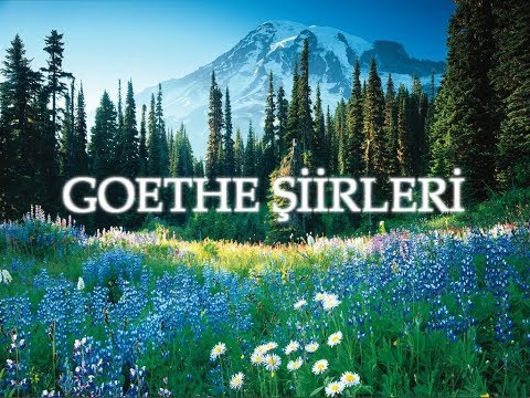 Goethe'nin şiirlerinden seçmeler