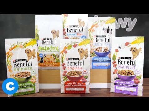 Beneful Dog Food | 2018