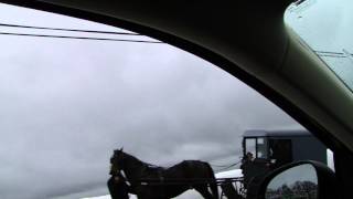 preview picture of video 'Hurricane Sandy Hits Amish Country - Horse & Buggy Lose Wheel'