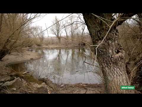 Reke i jezera - Ribnjak Baranda