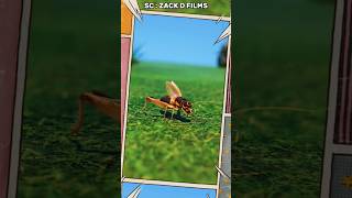 Download lagu Rahasia Suara Jangkrik, Ternyata Bukan dari Mulutnya! mp3