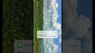 Tamasha| wat wat wat