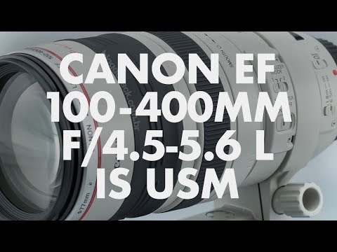 Lens Data - Canon EF 100-400mm f/4.5-5.6 L IS USM Review