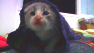 Chemical Brothers - The State We&#39;re In