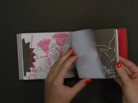 Norman Palm - Songs - Everything You Need - 10/12