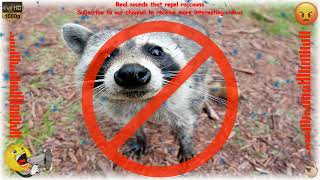 Real sounds that repel raccoons