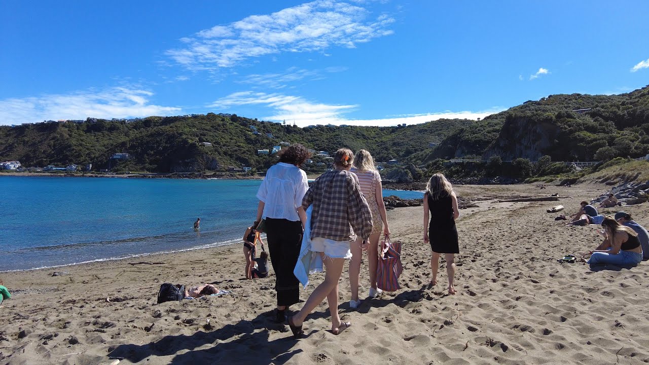 Embark on a walking tour around Princess Bay.