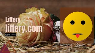 [liffery.com] - Enhance Your Experience with [Liffery] - Your personal research assistant