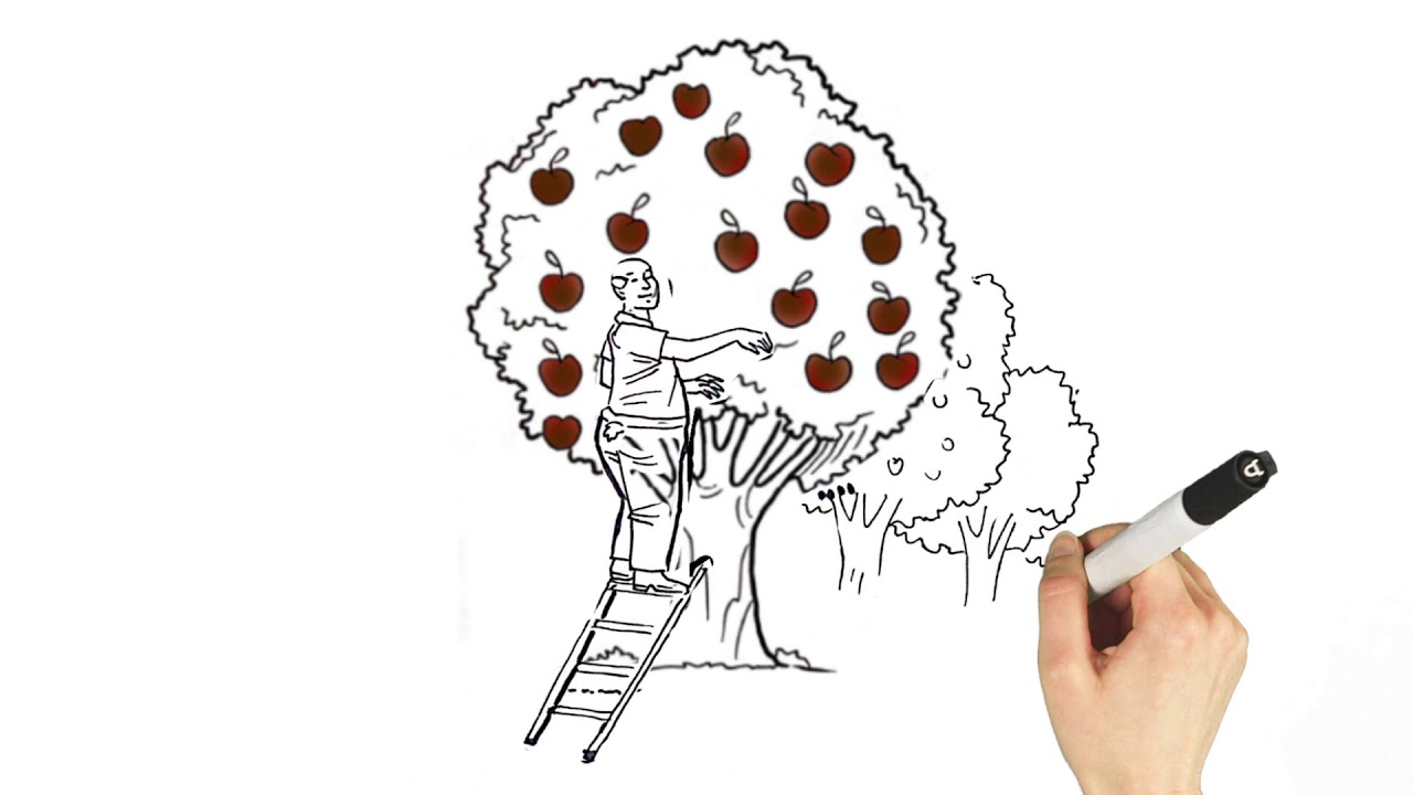 Código de ética e Conduta