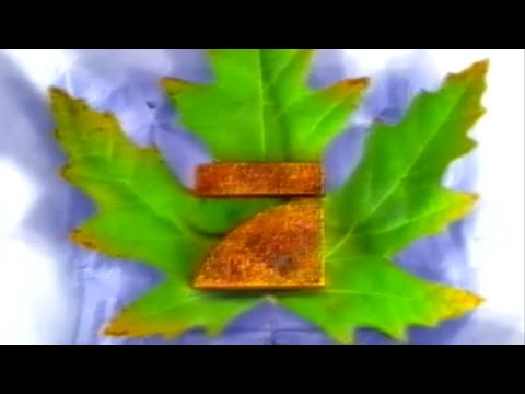 01.01.1995 Pro7 Werbeblock bei "Eiskalte Leidenschaft" Nr.1