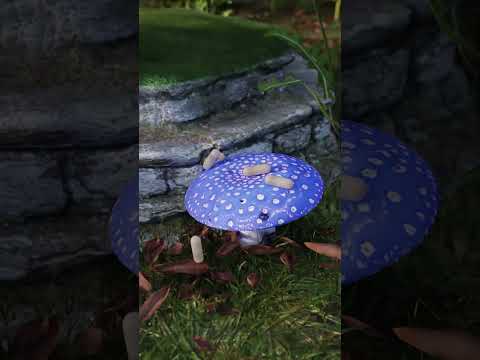 watch the product video