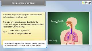 Respiratory Quotient | Respiration in Plants | Biology | Class 11th | iPrep