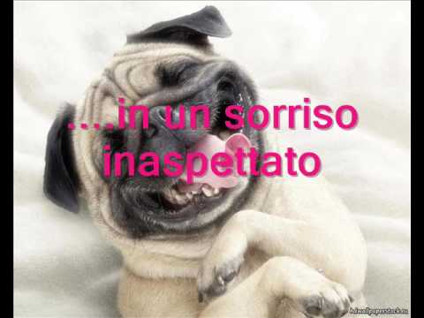 download lagu mp3 mp4 Sempre Sarai Ermal Meta Testo, download lagu Sempre Sarai Ermal Meta Testo gratis, unduh video klip Sempre Sarai Ermal Meta Testo