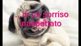 A parte te- Ermal Meta