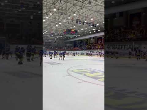 Corona Wolves Brașov