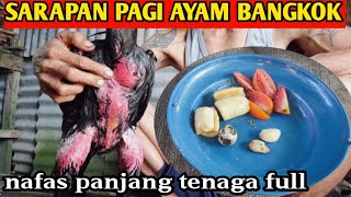 Download lagu Sarapan pagi ayam Bangkok mp3