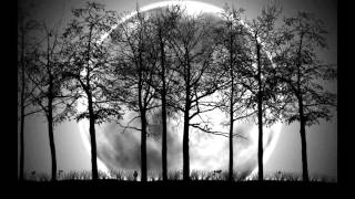 1000 Miles Grinspoon Acoustic cover