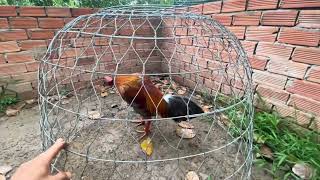 Tốp 2 bé từ 1t5-1t8 @762.8383.34