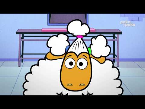 🔍Detectives de Animales: OVEJA 🐏 | Series infantiles | PAKAPAKA