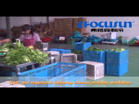 Vacuum cooling machine in greenhouses for vegetables and fru...