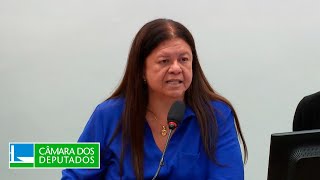  Discussão e votação de propostas legislativas - 11/11/2025 14:30