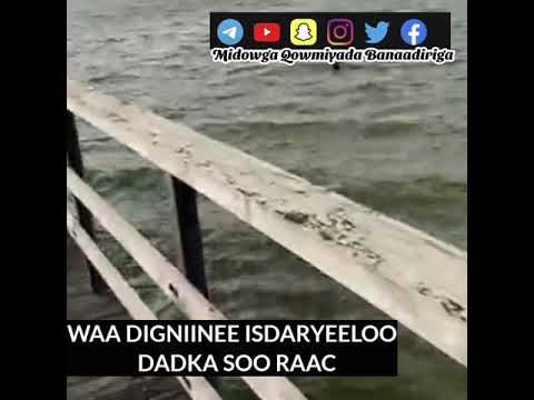 WAA DIGNIINEE ISDARYEELOO DADKA SOO RAAC