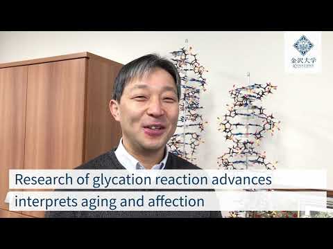 Researcher’s Voice #6　Prof. Yasuhiko Yamamoto