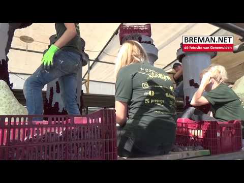 16-08-2018 Laaste dag afbouw Corsowagen van groep Olympia