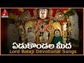 Lord Venkateswara Swami Devotional Songs Yedu Kondala Meeda Telugu Devotional Song