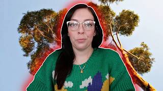 i hate eucalyptus trees in California