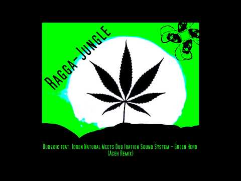 Dubzoic feat. Idren Natural Meets Dub Iration Sound System - Green Herb (Aceh Bootleg) [DnB]