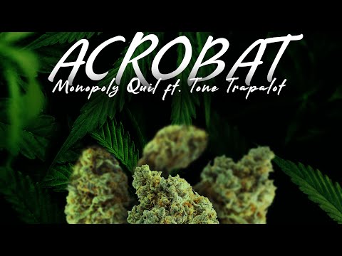 Acrobat ft Tone Trapalot