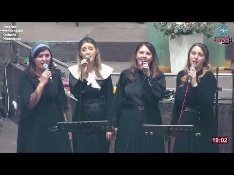 Surorile de la Moisei - Tu eşti floarea din grădină