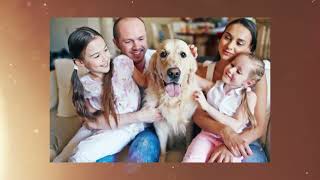 Is a Protection Plan Really Worth It?