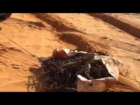 روضه خريم لفئه ذوي الاحتياجات الخاصه الصم-deaf