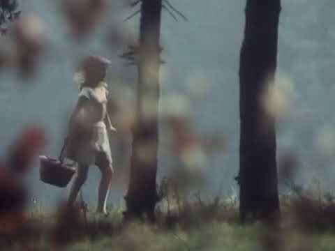 «Песня Красной Шапочки» - Ольга Рождественская 1977 (MDC)