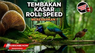 Download lagu 🔴 Roll Speed Tembakan Kasar Cucak Cungkok Gacor Isian Mewah vs Tepus Kepala Abu Abu Gacor Kasar mp3 Download lagu 🔴 Roll Speed Tembakan Kasar Cucak Cungkok Gacor Isian Mewah vs Tepus Kepala Abu Abu Gacor Kasar mp3