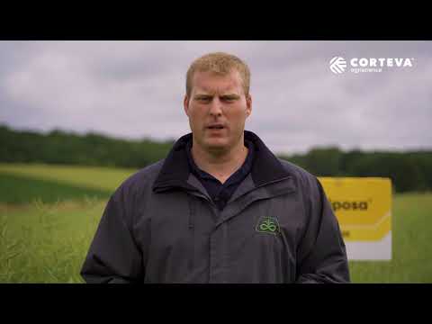 Corteva Blockbuster im Herbst | Lumiposa™  – Die neue insektizide Saatgutbeize