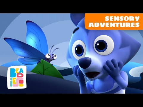 Sensory Adventures: Exploring the Senses Together | Beadies kids cartoons