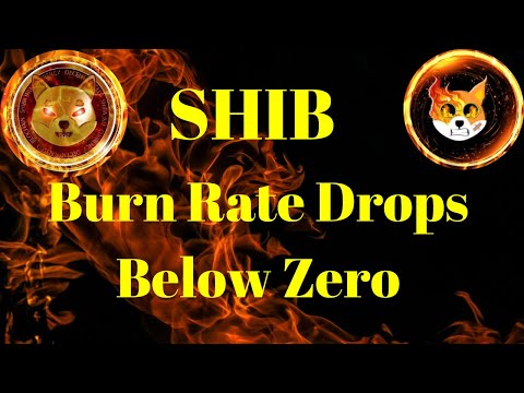 Últimas noticias criptográficas | La tasa de quema de SHIB cae por debajo de cero, esto es lo q...