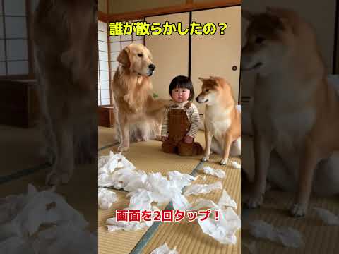 誰がやったんだろう？