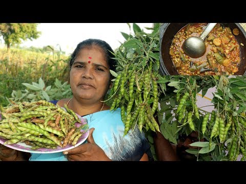 download lagu mp3 mp4 Pigeon Beans, download lagu Pigeon Beans gratis, unduh video klip Pigeon Beans