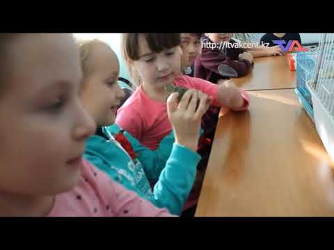 Выпуск программы "День" от 9 сентября 2021г.