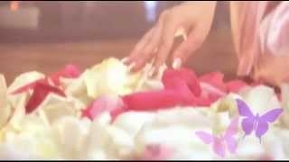 Tom Jones -The Anniversary Song ♥ &quot;Waves of Danube&quot;